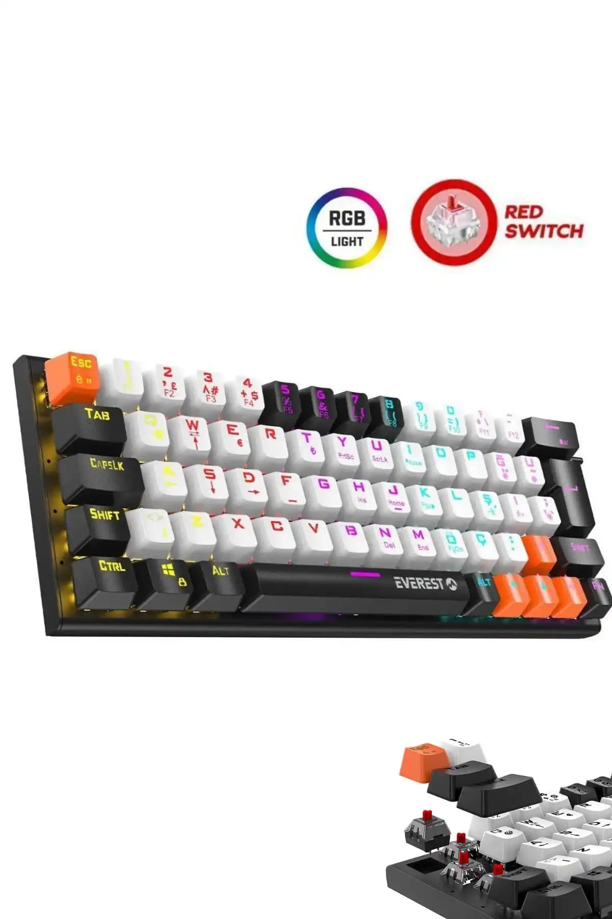 Everest Parley Rainbow LED ile Türkçe Q Mekanik Gaming Klavye Özellikleri ve Kullanıcı Yorumları